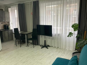 Apartment Artynova 29